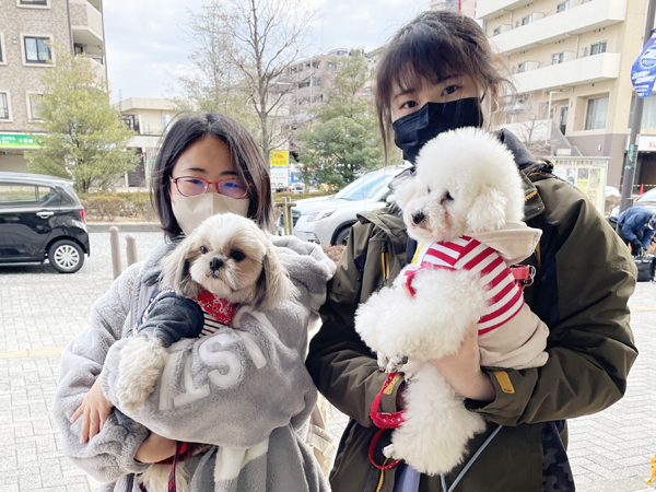 カコの元モデル犬、里親さんと来校♪
